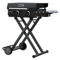 Char-Broil Charbroil Performance Series 22" Folding Cart 2-Burner Portable Flat Top Gas Griddle, Black in Black/Gray | Wayfair 463711223