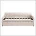 Rosdorf Park Kenzleigh Twin Daybed w/ Trundle Upholstered/Velvet in Brown | 32 H x 41 W x 81 D in | Wayfair 26B96D26C746490A9A74DEF280642051