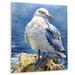 House of Hampton® Seagull By The Sea IV - Seagull Metal Wall Art Living Room Metal in Blue/Yellow | 32 H x 16 W x 1 D in | Wayfair