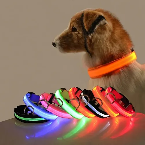 Nylon führte Nacht Sicherheit blinkt im Dunkeln leuchten Hunde leine Hunde leuchtend fluor zierende