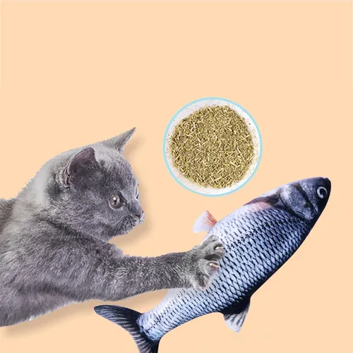Fischs pielzeug für Katzen Katzenminze Simulation Fisch Kitty Spaß Katzen spielzeug Karpfen Lachs