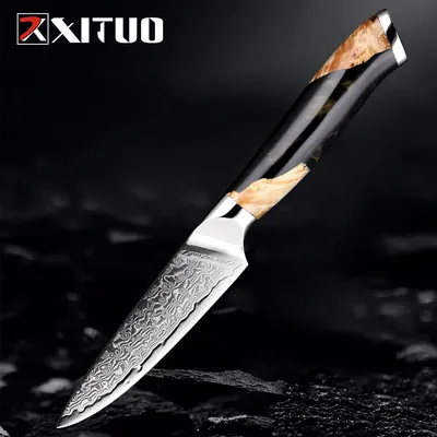 Couteau de cuisine Damas VG10 super acier 67 couches rasoir couteau à fruits tranchant