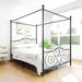 Red Barrel Studio® Richlyn Metal Canopy Bed Metal in Black | 76.35 H x 83.5 W x 61 D in | Wayfair 3FE17DD12A5F412FBAA715E99EAA7ED0