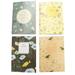50 Pcs Nature Series Mini Notebook Blank Pages Small Notebooks Exercise Book for Office School (Mixed Style)
