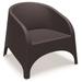 Compamia Aruba Resin Wickerlook Chair Brown