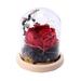Mothers Day Flowers Gifts Birthday Gift Womens Gifts for Her Flowers Preserved Forever in Glass Dome Romantic Decoration for Weddings Thanksgiving gift for her red