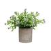 piaybook Plant Pot Home Desktop Potted Plants Potted Plants Potted Pelvic Pottery Simulation Bonsai Decorative Plant Pot for All Plants Flowers Vegetables Purple