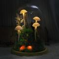 Forest Mushroom Series Magic Mushroom Lamp Handmade Original Night Light/Cute Retro Mushroom Night Light/Gift Light/