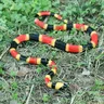 1PC giocattolo di gomma morbida serpente Safari puntelli da giardino simulazione serpente serpente
