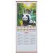 Monthly Calendar 2024 Hanging Birthday Decoration for Girl The Office Gifts Planner Wall Year Dragon Paper