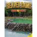 Nature s Engineers: Beaver Dams (Paperback)