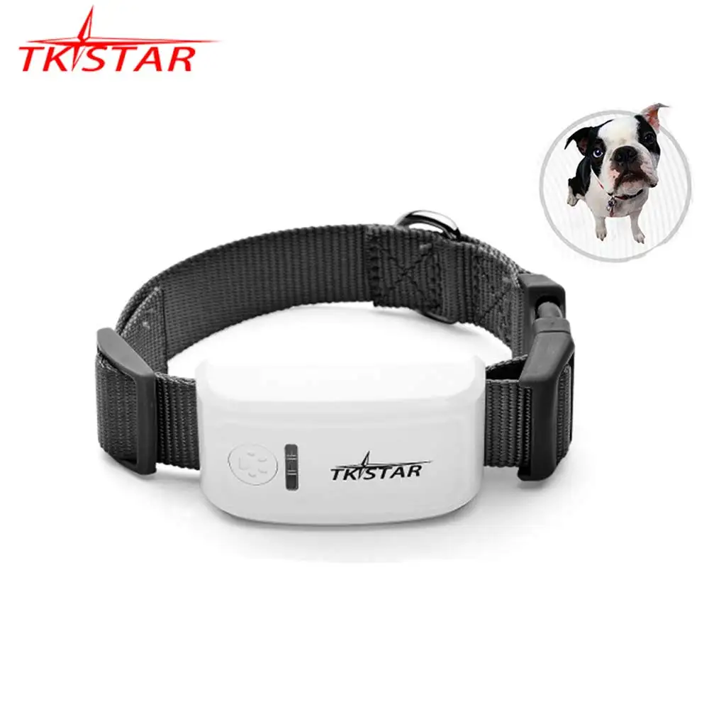 2G GSM GPS Tracker Pet TK909 GPS localisateur TKSTAR Mini GPS animaux Tracker 2G GSM meilleur chien GPS Tracker avec application gratuite étanche IP67