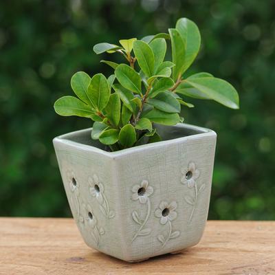 Green Little Garden,'Celadon Ceramic Mini Planter with Floral Motif in Green'