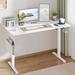 Ebern Designs Cortavia 55" W Adjustable Height Electric Standing Desk w/ Storage Bag Wood in White | 55.1 W x 23.6 D in | Wayfair