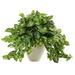 Nephthytis Artificial Plant in White Planter