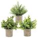 Andoer 3pcs Potted Artificial Flora Simulation Green Grass LeavesHome Plants Realistic Decor for Home Kitchen Garden