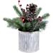 12" Frosted Pine Berries and Pine Cones Floral Arrangement in Tin Pot