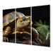 Latitude Run® Closeup Turtle Portrait I - Animals Turtle Metal Wall Art Set Metal in Brown | 28 H x 36 W x 1 D in | Wayfair