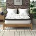 Twin Firm 14" Hybrid Mattress - Wayfair Sleep™ Sleep | 75 H x 39 W 14 D in WFSL1039 34538109