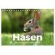 Hasen - Die niedlichen Hoppeltiere. (Tischkalender 2024 DIN A5 quer), CALVENDO Monatskalender - Calvendo