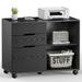 CoSoTower Filing Cabinet 3-Drawer File Cabinet for Home Office Mobile Lateral Filing Cabinet Printer Stand with Open Storage Shelves for Kids Room