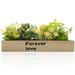 Artificial Wooden Box Potted Plant Succulent Decor Realistic Faux Dinner Table Plants Rectangular Planter Office