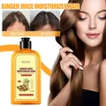 100ml Shampoo professionale allo zenzero per capelli ricrescita dei capelli denso veloce più spesso