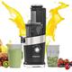 Muchen Slow Juicer Entsafter Gemüse und Obst elektrische Fruchtpresse Für ganzen Früchten und Gemüse Rückwärts Funktion Ruhiger Motor Frisch Gesunder Saft, 150W, Schwarz, ‎ZM1908