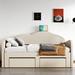 Red Barrel Studio® Shawnya Daybed w/ Two Drawers, Trundle & USB Ports Upholstered/Velvet in Brown | 40.4 H x 43.3 W x 81 D in | Wayfair