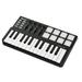 WORLDE Portable Panda 25-Key USB Keyboard MIDI Controller with Drum Pad