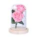 Frogued Artificial Rose LED Glass Bottle Lamp Night Light Home Decor Valentine Gift (Pink)