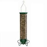 Droll Yankees Squirrel-Proof Wild Bird Feeder Outdoor Patio Wrought Iron Hanging Hummingbird Feeder