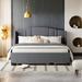 Red Barrel Studio® Teachey Wingback Storage Bed Upholstered/Linen in Gray | 43 H x 65 W x 86 D in | Wayfair 7D414FEF8A18422E8190046BB09979C7