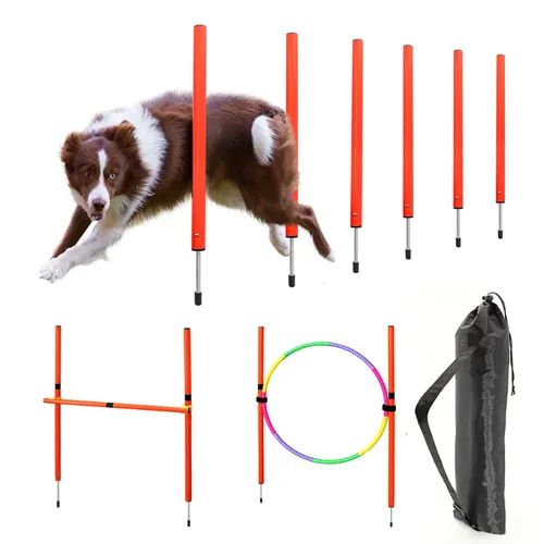 Hund Agility Ausrüstung Tragbare Pet Ausbildung Ausrüstungen Hunde Springen Training Werkzeug