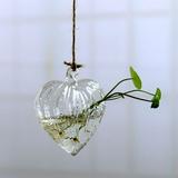 Glass Planters Wall Hanging Terrarium Container Wall-Mounted Vase Clear for Indoor Air Plants