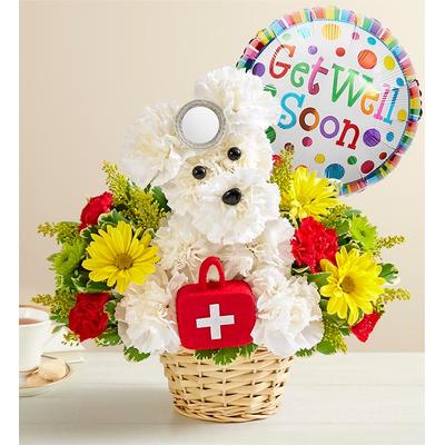 1-800-Flowers Flower Delivery Cure - All Doggie W/ Balloon