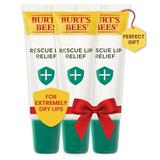 Burt S Bees Rescue Lip Relief Lip Balm With Shea Butter And Echinacea Tint-Free Natural Origin Lip Care 3 Tubes 0.35 Oz.