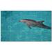 Picture-Tiles.com Dolphin Photo 4.25 x 4.25, Ceramic in Blue/Gray/Green | Wayfair PT500533-53S