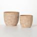 Bungalow Rose Samonas 2 - Piece Terracotta Pot Planter Clay & Terracotta in Brown | 8.5 H x 10 W x 10 D in | Wayfair