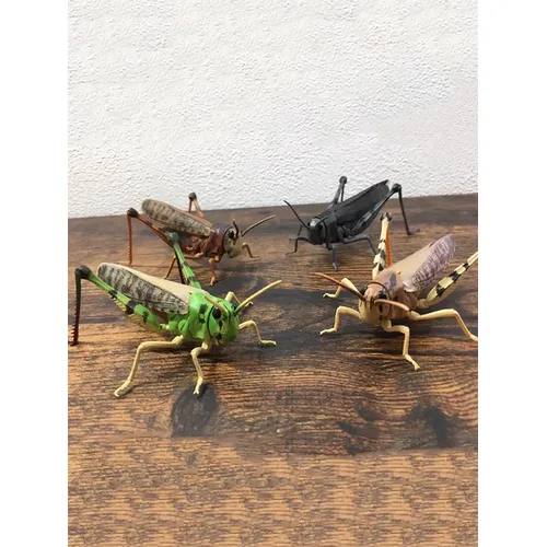 Gashapon Spielzeug kapsel Insekten modell montiert Heuschrecke Heuschrecke Acridoidea Figur Sammlung
