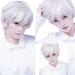 KPLFUBK Human Hair Wig Boy Guy Party Short Adult Men For Carnivals Wig Perfect Short Band Wig White wig