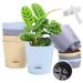 HEQUSIGNS 6Pcs Self Watering Pots with 100 x Plant Tags 4.6 Garden Modernity Plant Pots with Reservoir Drainage Holes Plastic Wicking Pots for Succulents Cacti and Seedling Plants