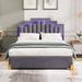 Ivy Bronx Kerline Platform Storage Bed Upholstered/Velvet, Metal in Gray | 44.9 H x 61 W x 81.1 D in | Wayfair 6A9A3C8641834DBD83C9D37BB0A9BFA0