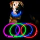 Collier de chien Shoous de charge réglable à LED lumière de nuit pour chat et chien produits pour