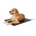 K&H Pet Products Lectro-Kennel Outdoor Heated Pad With Free Cover Black Large 225 X 285 Inches