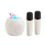 RKZDSR Portable Wireless Karaoke Speaker with Built-in Microphone - All-in-One Bluetooth Speaker and Home Karaoke Gift