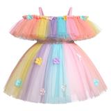 IBTOM CASTLE Toddler Baby Girls Birthday Party Dress Butterfly Embroidery Princess Tulle Tutu Wedding Pageant Evening Prom Ball Gown 18-24 Months Rainbow Flower
