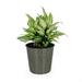 10.2 Self-watering Wicker Decor Planter for Indoor and Outdoor - Round - Grey