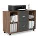 Mobile filing cabinet with 2 drawers and 4 open storage cabinets Walnut-dark gray