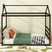 Queen Size Metal House Shape Platform Bed, Black